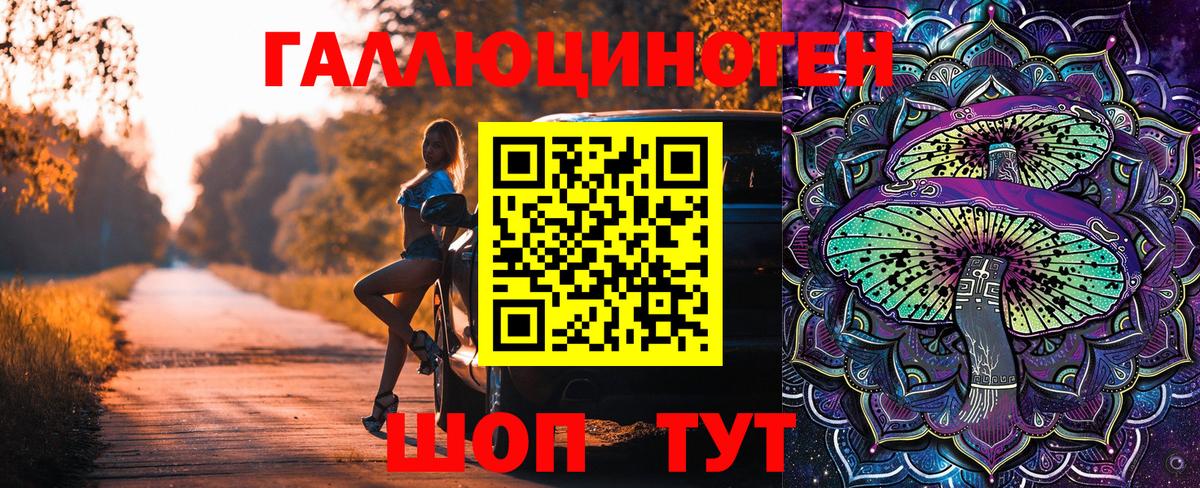 Галлюциногенные грибы Psilocybe  Вход с VPN  Лениногорск 
