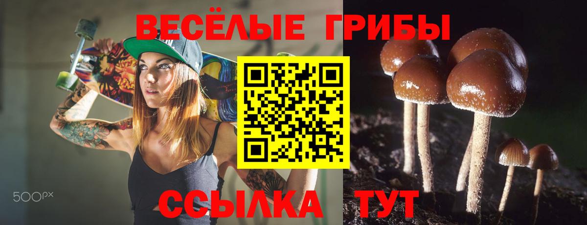 Галлюциногенные грибы прущие грибы Лениногорск